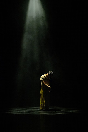 Extravadance - Jul 2024
