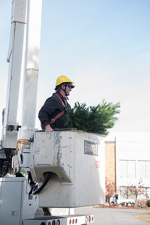 Christmas Tree at the Taylor Quad.