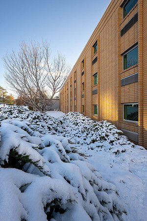 Campus Early Winter - Nov 2024