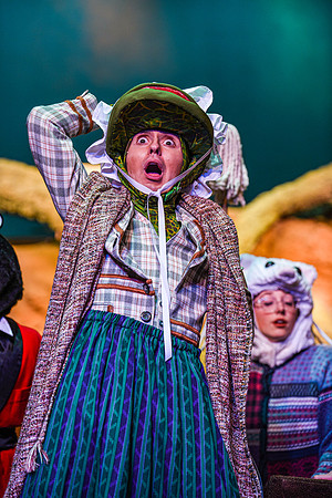 The theatre department's dress rehearsal of the Wind in the Willows in the Snow Drama Theatre.