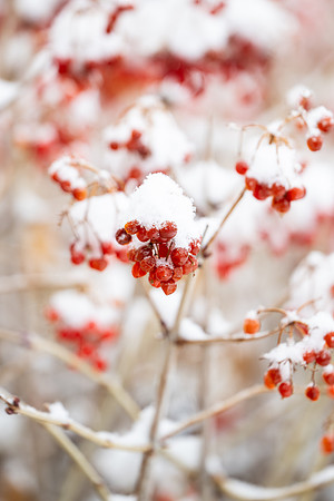 Winter Campus - Dec 2024