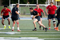 Rugby Championships.