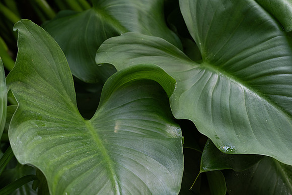 Nature on Campus - Aug 2024