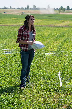 Ag students get the opportunity to show off their wheat crops during Ag Days.