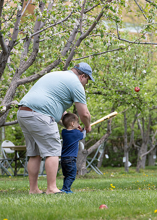 Apple Blossom Festival - May 2025