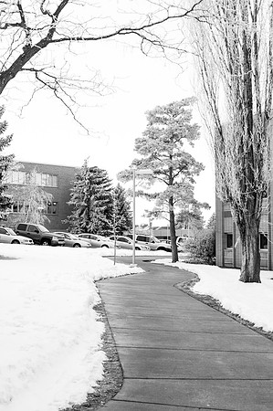 Beautiful pictures of campus scenery after a frosty snowstorm.