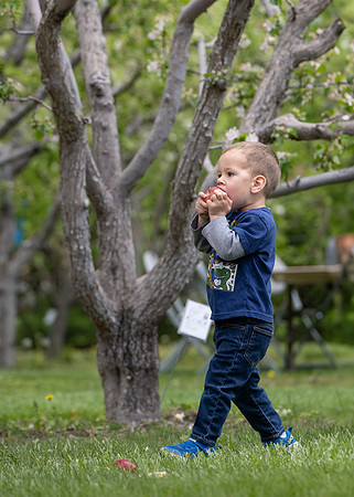 Apple Blossom Festival - May 2025
