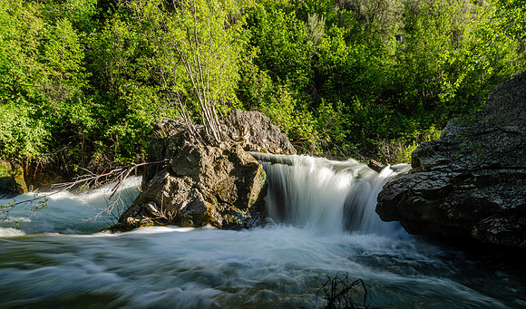 Photo Excursion: hike to Lower Palisades Lake.