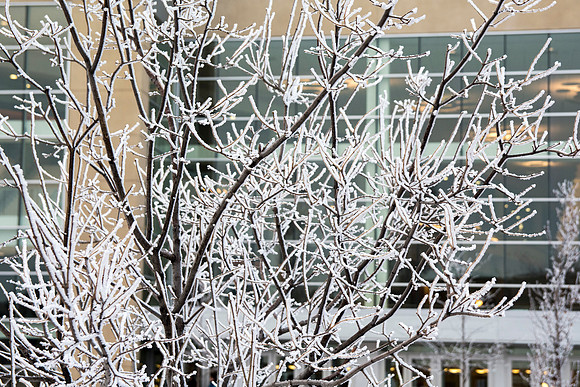 A frosty winter day at BYU-Idaho.