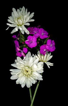 The Brigham Young University-Idaho offers a variety of flowers and floral arrangements.