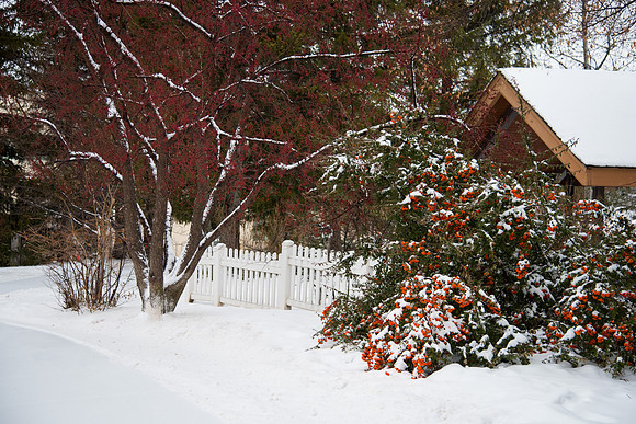 Snowy morning on campus, Fall 2016