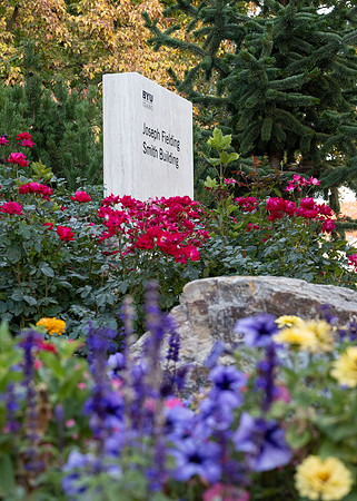 Campus Fall - Oct 2024