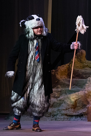 The Wind in the Willows - Feb 2020
