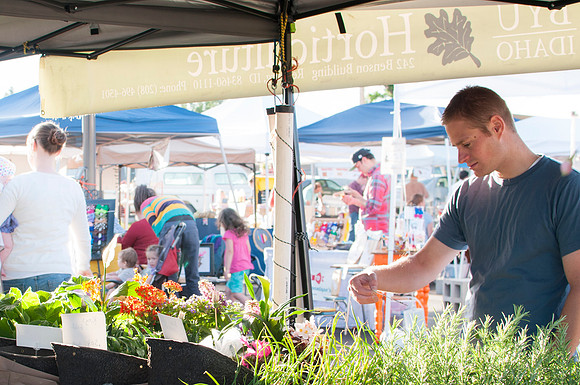 BYU-I Horticulture Stand, Customers looking at plants, Spring 2013