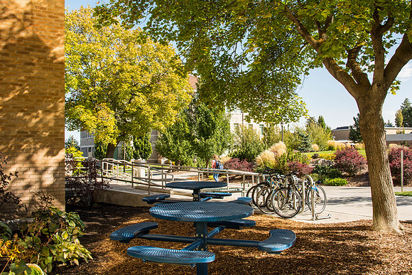 General Campus Scene