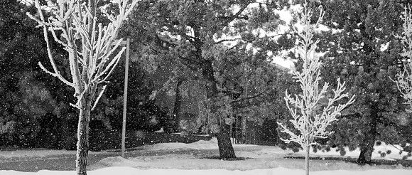 Snow gently falls to the ground during the 2015 Winter Semester.