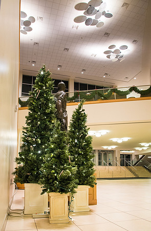 Christmas lights around campus help bring in the holiday cheer.