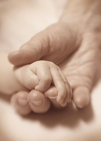 Tender Hands
