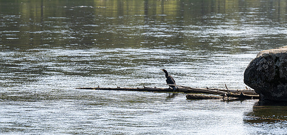 Photo excursion, hike along the river to Coffee Pot rapids.